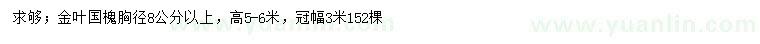 求購(gòu)胸徑8公分以上金葉國(guó)槐