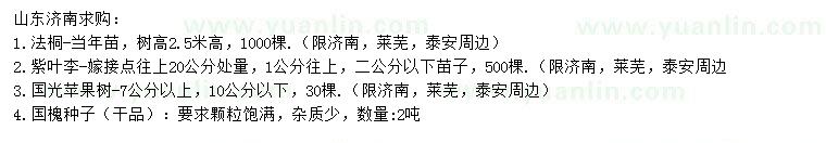 求購法桐、紫葉李、蘋果樹等