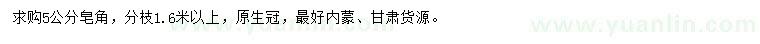求購(gòu)5公分皂角