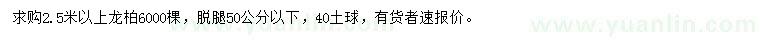求購2.5米以上龍柏