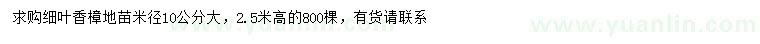 求購米徑10公分細(xì)葉香樟