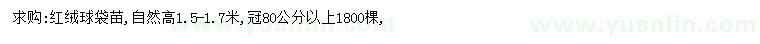 求購高1.5-1.7米紅絨球