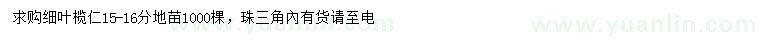 求購(gòu)15-16公分細(xì)葉欖仁