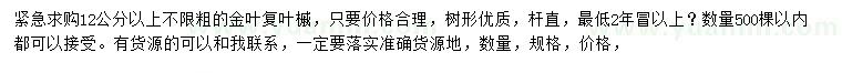 求購12公分以上金葉復(fù)葉槭