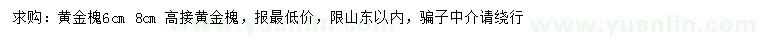 求購6、8公分黃金槐