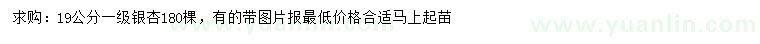求購19公分銀杏