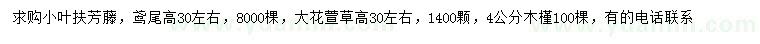 求購小葉扶芳藤、鳶尾、大花萱草等