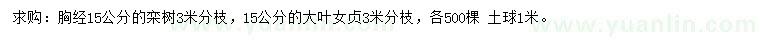 求購(gòu)胸經(jīng)15公分欒樹、15公分大葉女貞