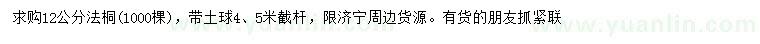 求購12公分法桐