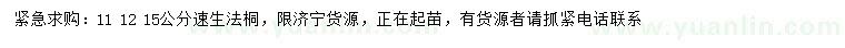 求購11、12、15公分速生法桐