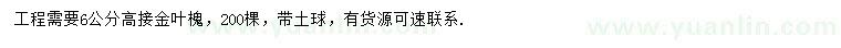 求購6公分金葉槐 