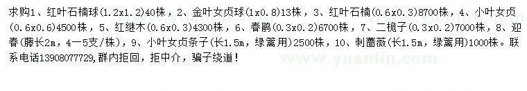求購紅葉石楠球、金葉女貞球、小葉女貞等