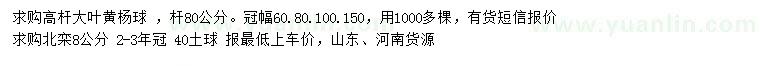 求購桿80公分大葉黃楊球、8公分北欒