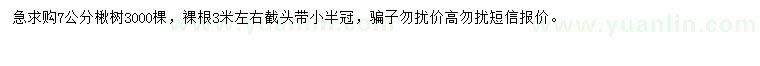 求購7公分楸樹