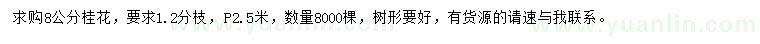 求購8公分桂花