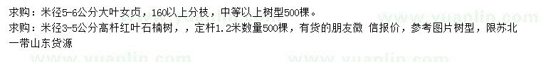 求購米徑5-6公分大葉女貞、米徑3-5公分高桿紅葉石楠樹
