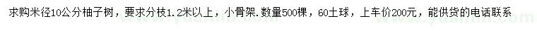 求購(gòu)米徑10公分柚子樹