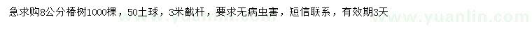 求購8公分椿樹