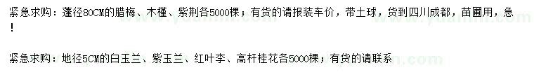 求購臘梅、木槿、紫荊等
