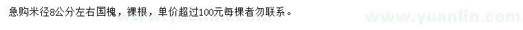求購米徑8公分國槐