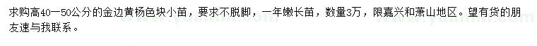 求購(gòu)高40-50公分金邊黃楊