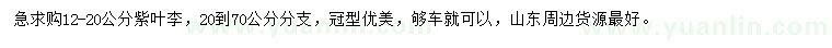 求購12-20公分紫葉李