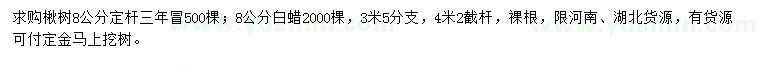 求購8公分楸樹、白蠟