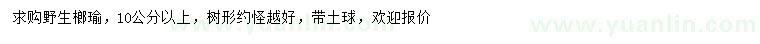 求購10公分以上野生榔瑜