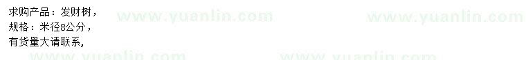 求購(gòu)米徑8公分發(fā)財(cái)樹