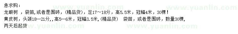 求購17-18公分龍眼樹、高5-6米黃皮樹