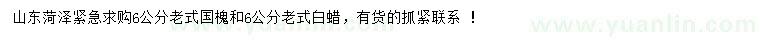 求購(gòu)6公分老式國(guó)槐、老式白蠟
