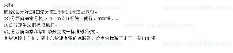求購(gòu)白蠟、西府海棠、速生法桐等