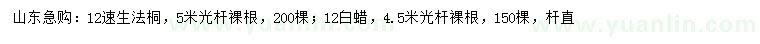 求購12公分速生法桐、白蠟