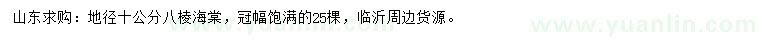 求購地徑10公分八棱海棠