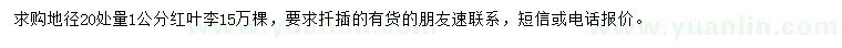 求購地徑20處量1公分紅葉李
