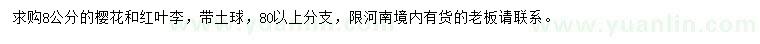 求購8公分櫻花、紅葉李