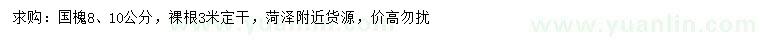 求購8、10公分國槐