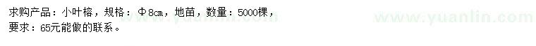 求購(gòu)8公分小葉榕