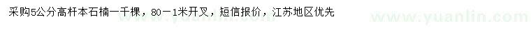 求購5公分本石楠