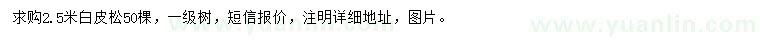 求購2.5米白皮松