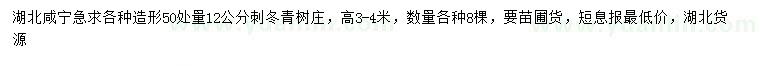求購50處量12公分刺冬青