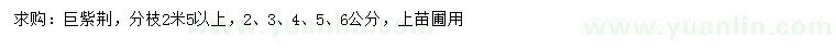 求購2、3、4、5、6公分巨紫荊