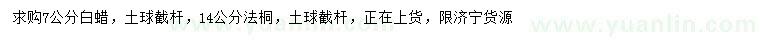 求購7公分白蠟、14公分法桐