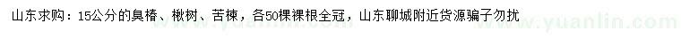 求購臭椿、楸樹、苦楝