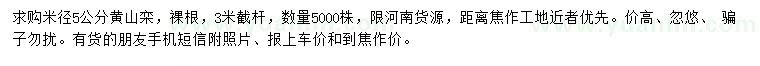 求購米徑5公分黃山欒