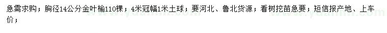 求購(gòu)胸徑14公分金葉榆