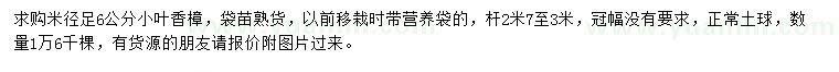 求購米徑足6公分小葉香樟