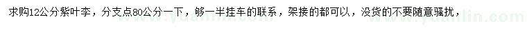 求購(gòu)12公分紫葉李