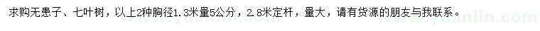 求購1.3米量5公分無患子、七葉樹