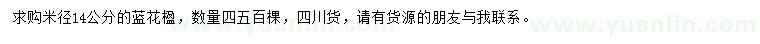 求購米徑14公分藍(lán)花楹